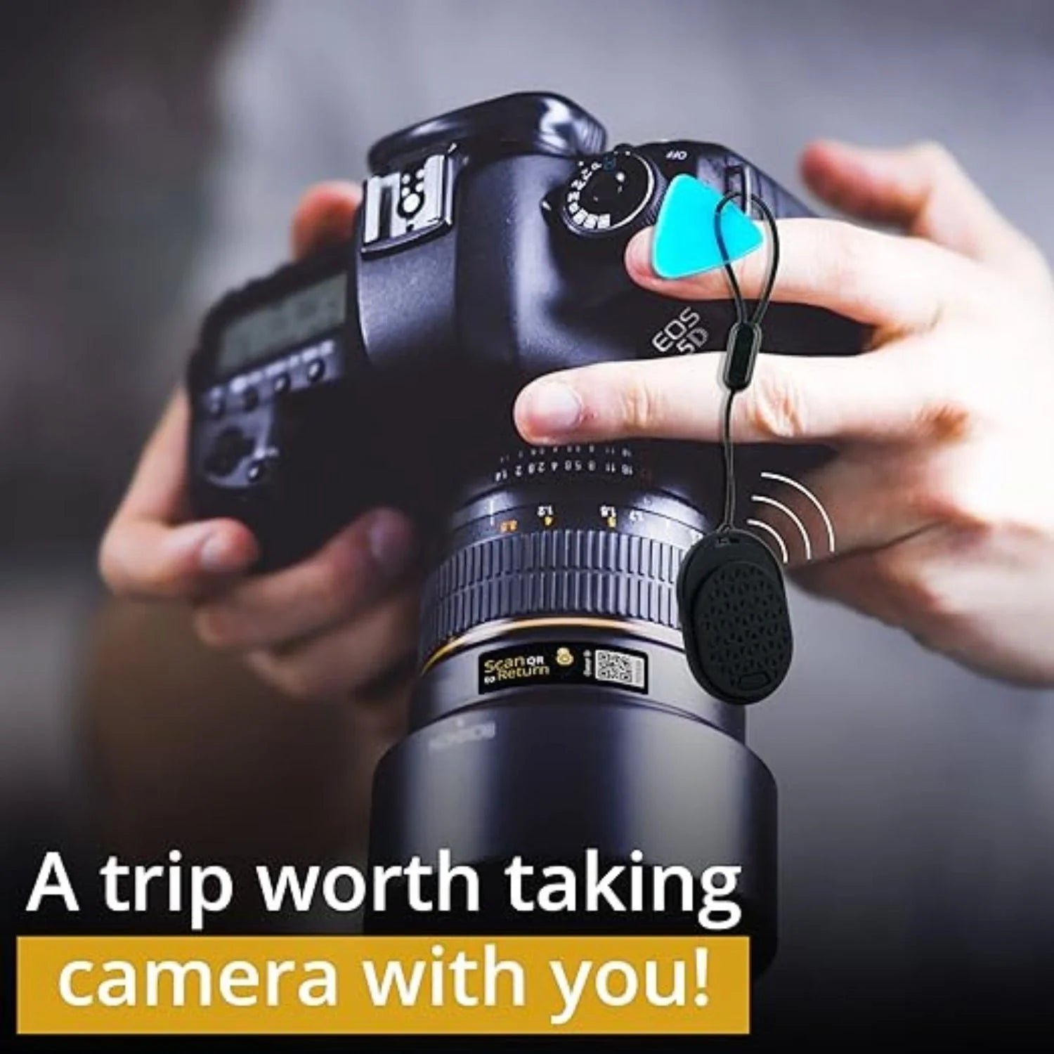 Dolphin Camera Gear-2