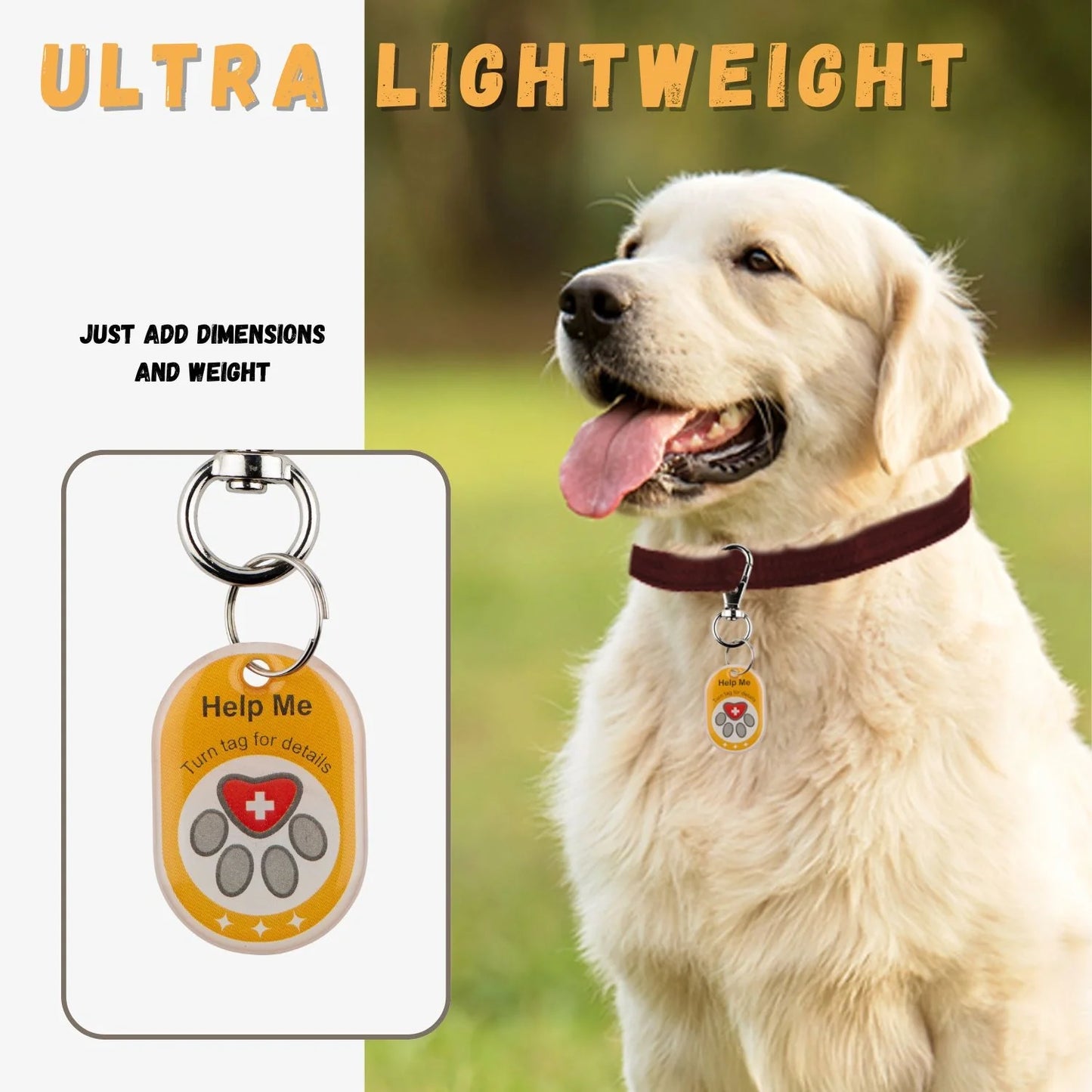 Genie Pet Tag Oval-2